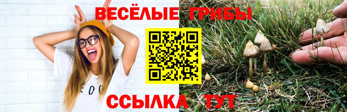 Галлюциногенные грибы Cubensis  Вход с VPN  Каменск-Уральский 